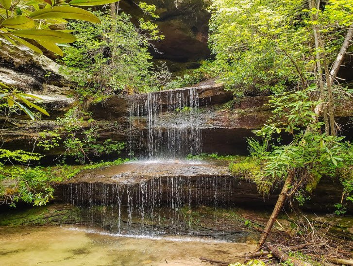 Pickett CCC Memorial State Park